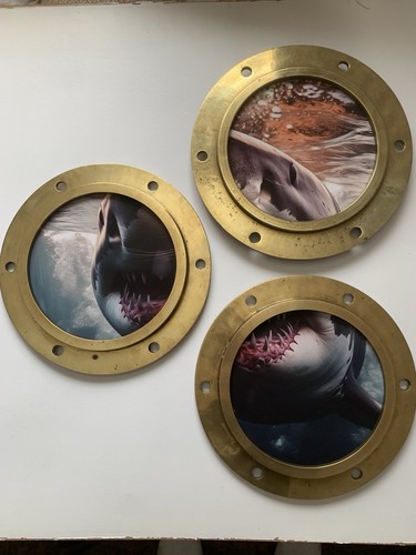 Great white shark - shark, jaws