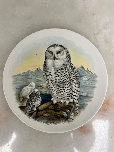 Vintage poole pottery john - poole,