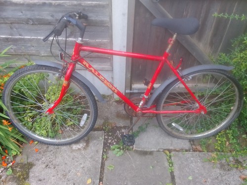Red raleigh bicycle - red,