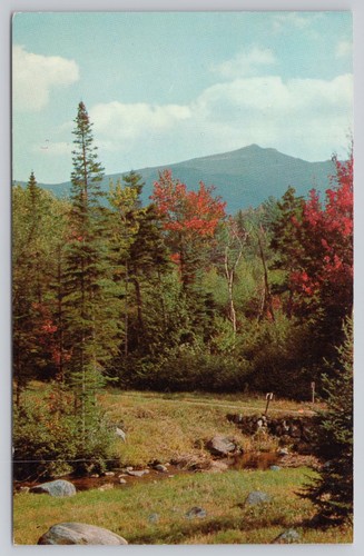 Elliott knob north mountain - elliott's,
