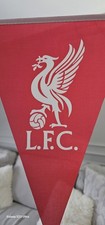 Liverpool party bunting - liverpool,