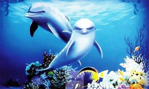 Penn plax aquarium - plax, 3d