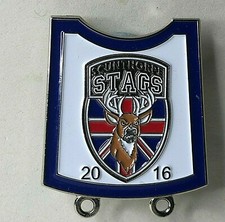 Scunthorpe Stags speedway team