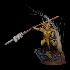 Well Painted Converted Archon Drukhari Dark Eldar Warhammer 40k