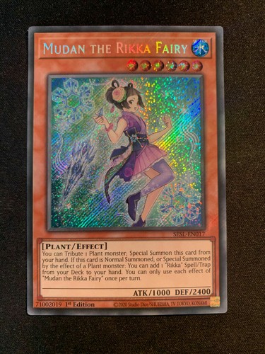 - rikka, fairy
