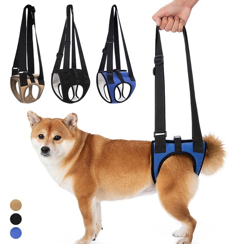 Dog lift sling for back - lift,