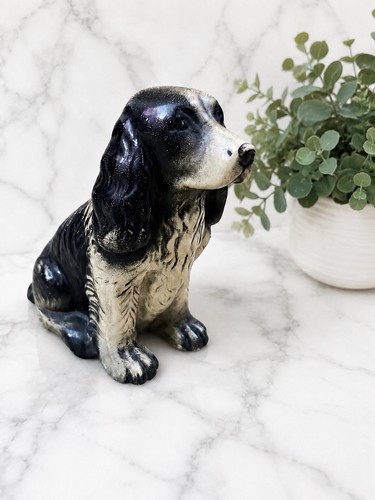 Vintage chalkware spaniel dog - chalkware,