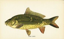 1895 -Report of the State