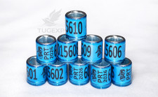 Pigeon racing rings 2026 - rings,