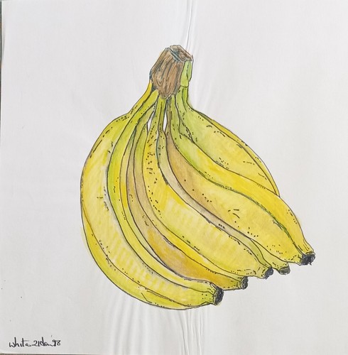 Still life coloured drawing - still,
