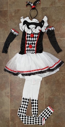 Harlequin clown circus fancy - harlequin,