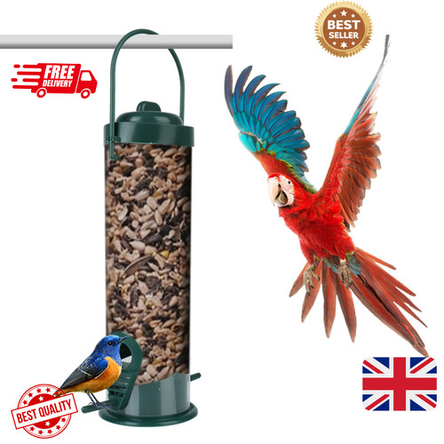 Wild garden bird - bird, feeder