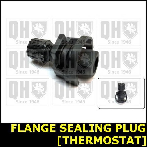 Coolant flange sealing plug - flange,