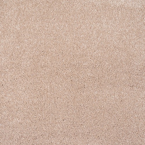 Rose petal aquila luxury - petal,