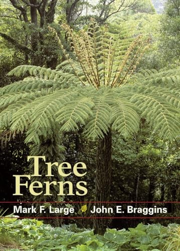 Large tree ferns paperback - large,
