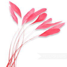 Loose Stripped Coque Feathers