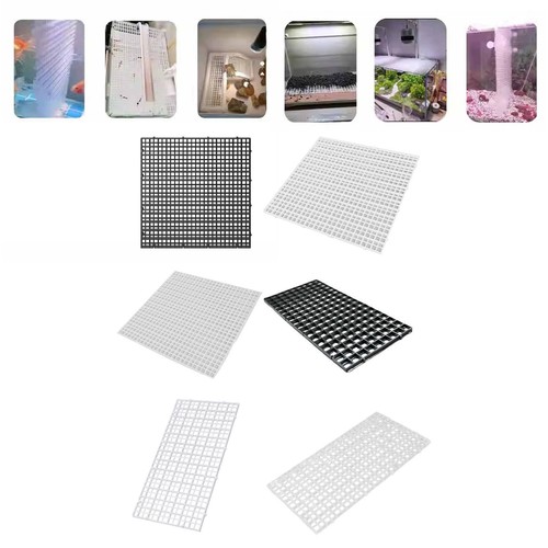Aquarium divider bottom - aquarium,