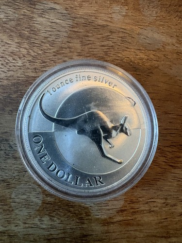 2004 1oz kangaroo silver - 2004,
