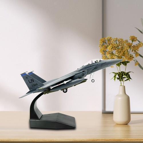 100 scale f15e - 1/100,