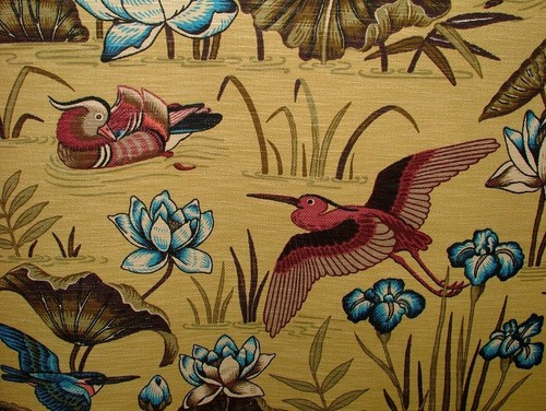Japanese water lily birds - water,