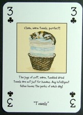 1 x playing card Magnificent