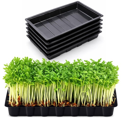 Multipurpose garden seed - 5,