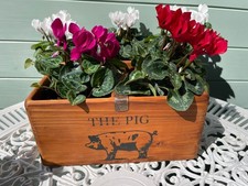 Vintage Style  Rustic Pine