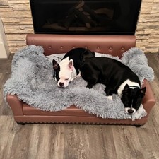 Large Dog Sofa Bed Leather