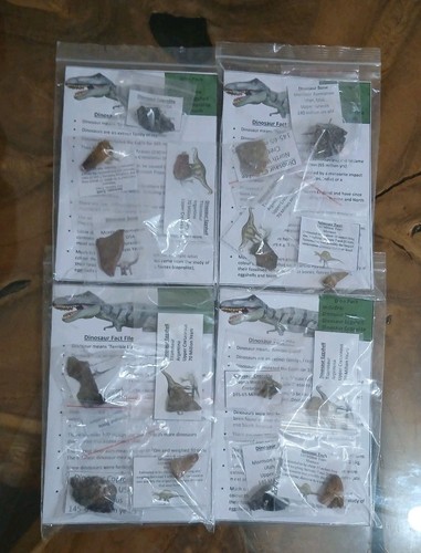 Fossil dinosaur pack real - fossil,