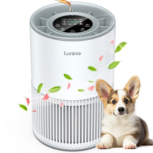 Air purifiers for home large - air,
