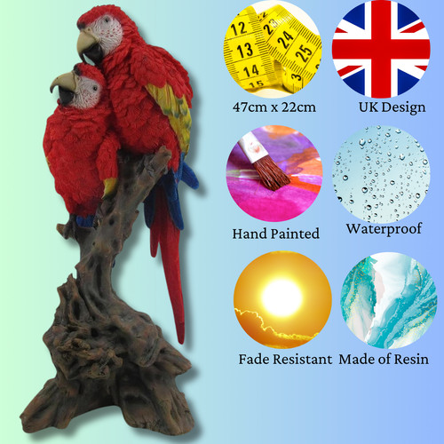 Pair parrots garden bird - parrots,