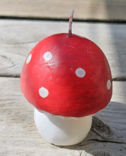 Fairy mushroom toadstool - fairy,