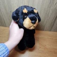 Aurora Rottweiler Puppy Dog