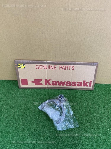 Kawasaki ninja 2019 - se,