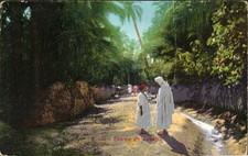 North Africa - In the Oasis -