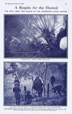 CROWHURST Final Meet of Season