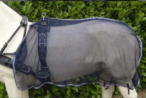 Ideal equestrian driving - ideal,