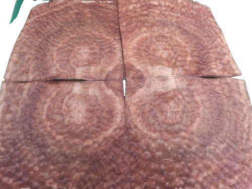 Camphor burr burl veneer - burr,
