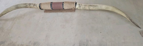 Real animal horn - animal, cattle