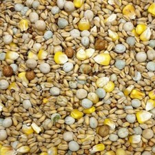 Johnston & Jeff Four Seasons