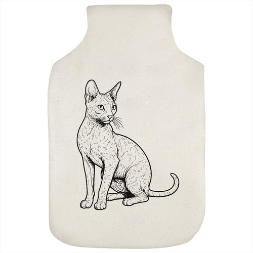 Cornish rex cat hot - 'cornish,
