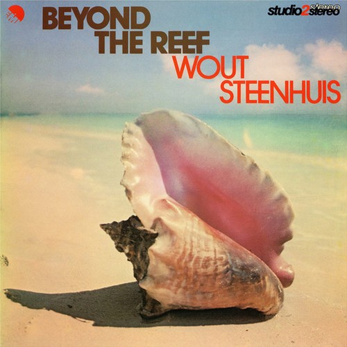 Wout steenhuis beyond the - wout,