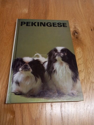 Pekingese beverly pisano - by,