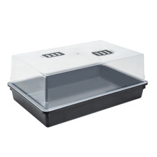 Large High Dome Seed Cuttings