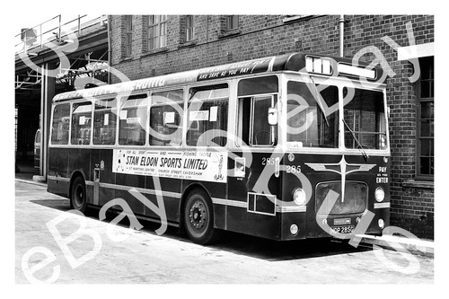 Bus photograph reading t - bus,