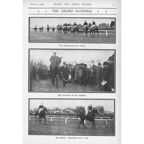 The grand national horse race - the,