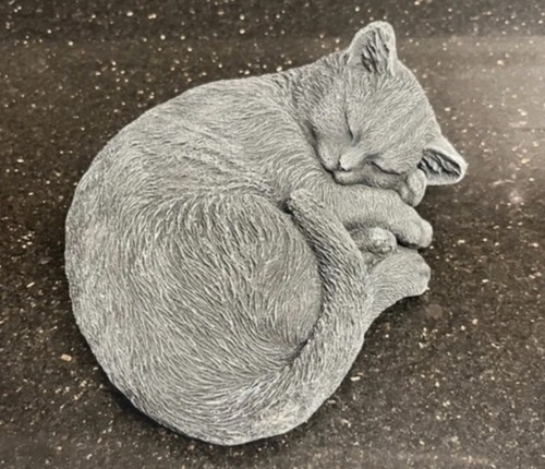 Sleeping kitten concrete - sleeping,