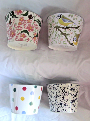 Bundle emma bridgewater plant - emma,