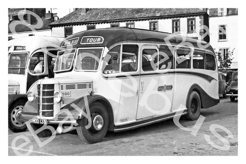 Bus photograph royal blue hod - royal,