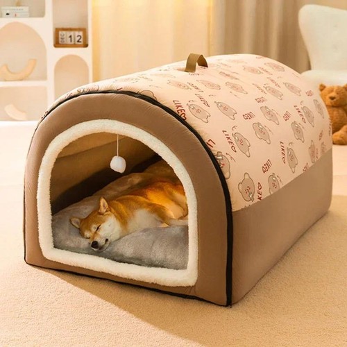 Winter dog kennel - dog,